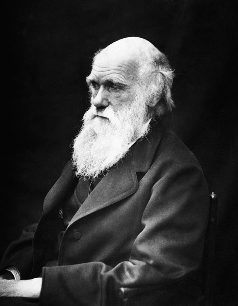 Darwin