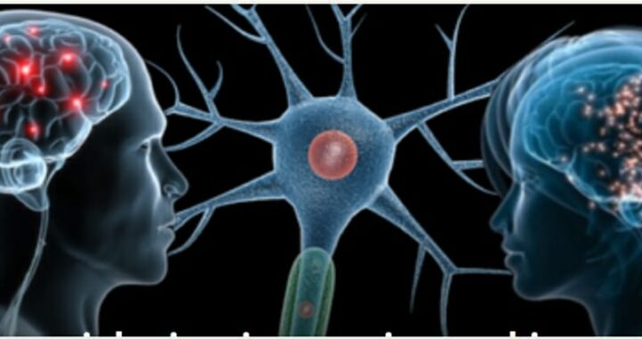 La neurosociologia e i neuroni specchio